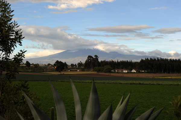 Cotopaxi