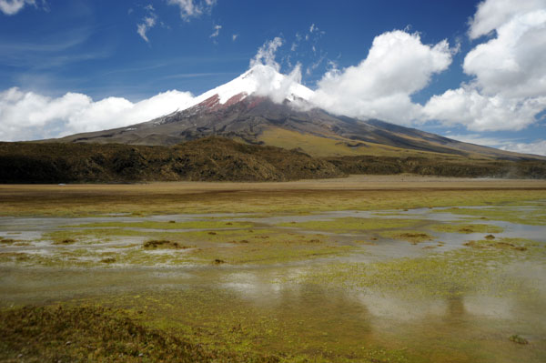 Cotopaxi