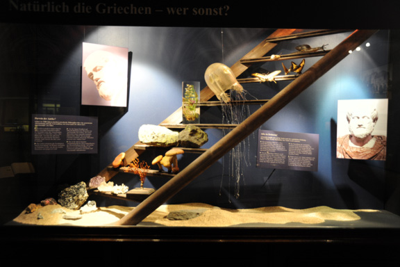 Darwins Revolution (Naturhistorisches Museum Wien)