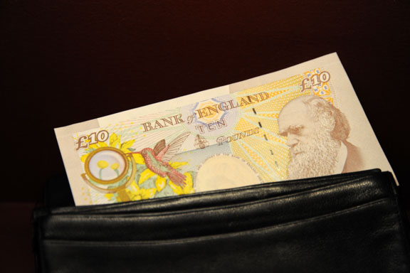 Banknote mit Darwin
