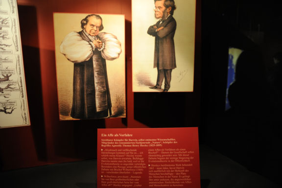 Darwins Revolution (Naturhistorisches Museum Wien)
