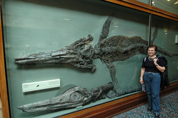 Mag. Silvia Öller mit einem Ichthyosaurus