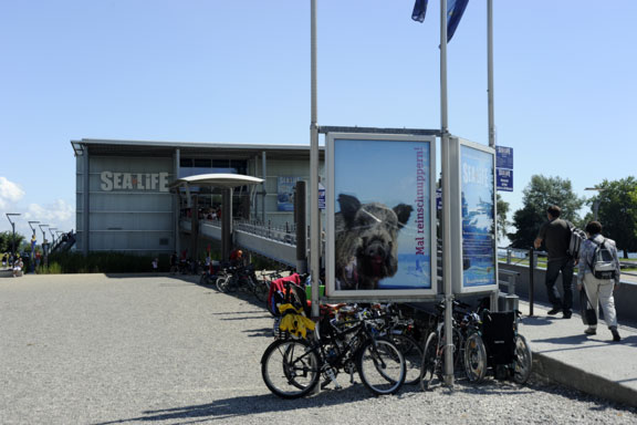 Eingang zum Sealive in Konstanz