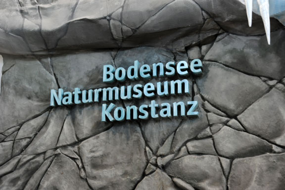Bodensee Naturmuseum Konstanz